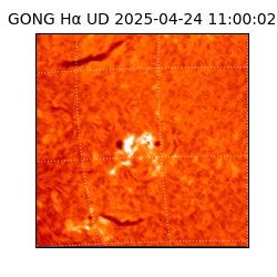 gong - 2025-04-24T11:00:02