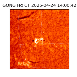 gong - 2025-04-24T14:00:42