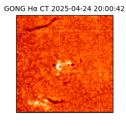 gong - 2025-04-24T20:00:42