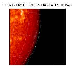 gong - 2025-04-24T19:00:42