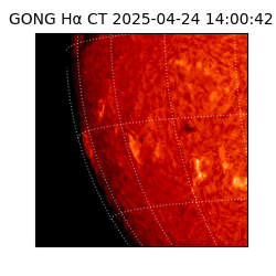 gong - 2025-04-24T14:00:42