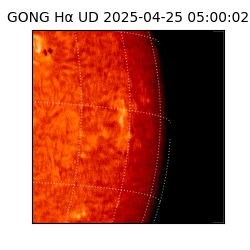 gong - 2025-04-25T05:00:02