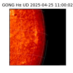 gong - 2025-04-25T11:00:02