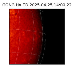 gong - 2025-04-25T14:00:22