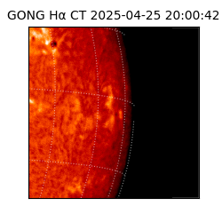 gong - 2025-04-25T20:00:42