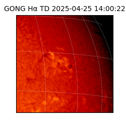 gong - 2025-04-25T14:00:22