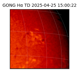 gong - 2025-04-25T15:00:22