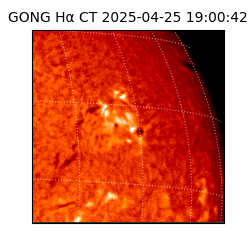 gong - 2025-04-25T19:00:42