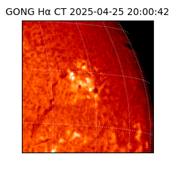 gong - 2025-04-25T20:00:42