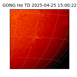 gong - 2025-04-25T15:00:22