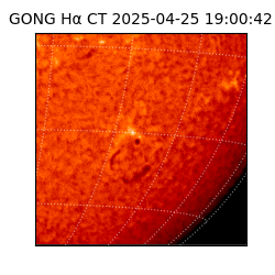 gong - 2025-04-25T19:00:42