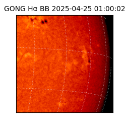 gong - 2025-04-25T01:00:02