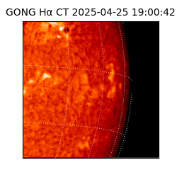 gong - 2025-04-25T19:00:42