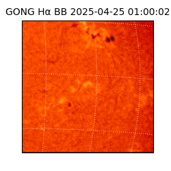 gong - 2025-04-25T01:00:02