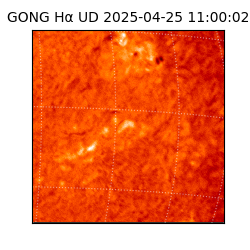 gong - 2025-04-25T11:00:02