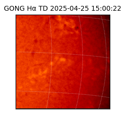 gong - 2025-04-25T15:00:22
