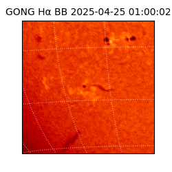 gong - 2025-04-25T01:00:02