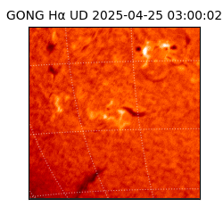 gong - 2025-04-25T03:00:02