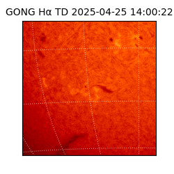 gong - 2025-04-25T14:00:22