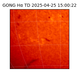 gong - 2025-04-25T15:00:22