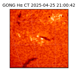 gong - 2025-04-25T21:00:42