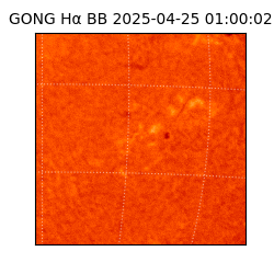 gong - 2025-04-25T01:00:02