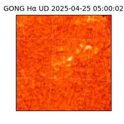 gong - 2025-04-25T05:00:02