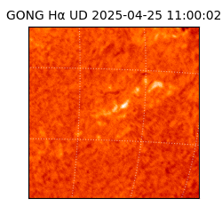 gong - 2025-04-25T11:00:02