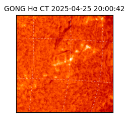 gong - 2025-04-25T20:00:42