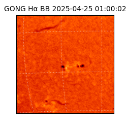 gong - 2025-04-25T01:00:02