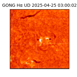 gong - 2025-04-25T03:00:02