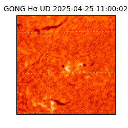 gong - 2025-04-25T11:00:02