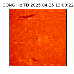 gong - 2025-04-25T13:08:22