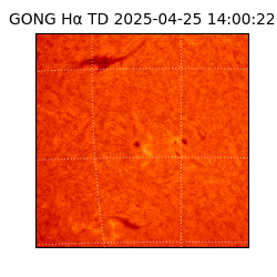 gong - 2025-04-25T14:00:22