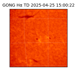 gong - 2025-04-25T15:00:22