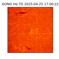 gong - 2025-04-25T17:00:22