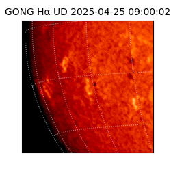 gong - 2025-04-25T09:00:02