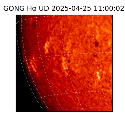 gong - 2025-04-25T11:00:02