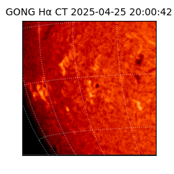 gong - 2025-04-25T20:00:42