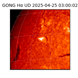 gong - 2025-04-25T03:00:02