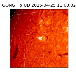 gong - 2025-04-25T11:00:02