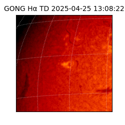 gong - 2025-04-25T13:08:22