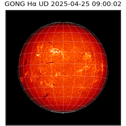gong - 2025-04-25T09:00:02