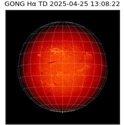 gong - 2025-04-25T13:08:22