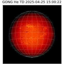 gong - 2025-04-25T15:00:22