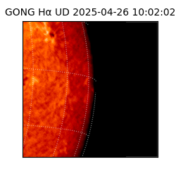 gong - 2025-04-26T10:02:02