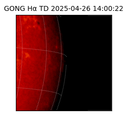 gong - 2025-04-26T14:00:22