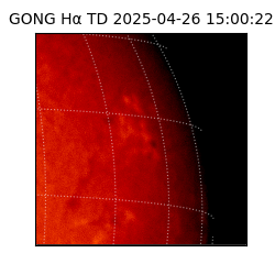 gong - 2025-04-26T15:00:22