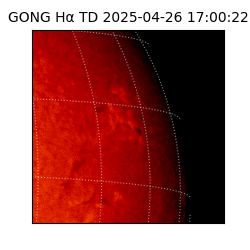 gong - 2025-04-26T17:00:22