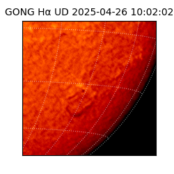 gong - 2025-04-26T10:02:02